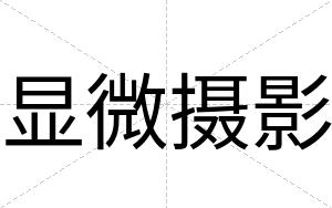 显微摄影