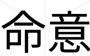命意