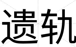 遗轨