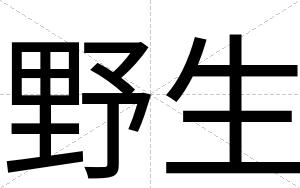 野生