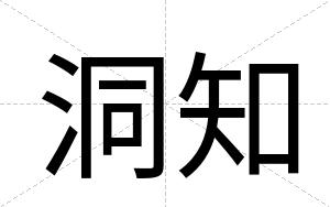 洞知