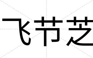 飞节芝
