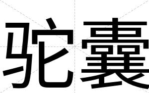 驼囊