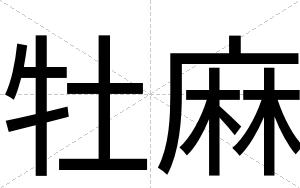 牡麻