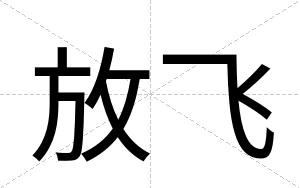 放飞