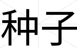 种子