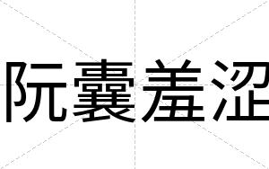 阮囊羞涩
