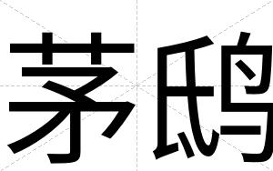 茅鸱