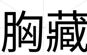 胸藏