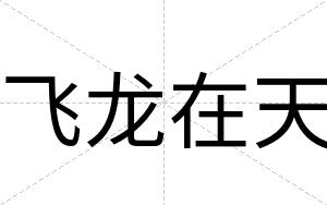 飞龙在天