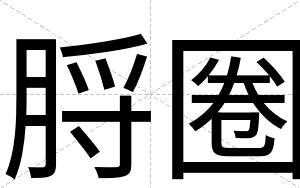 脟圈