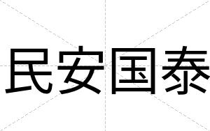 民安国泰