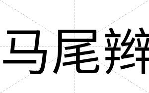 马尾辫