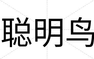 聪明鸟