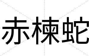 赤楝蛇