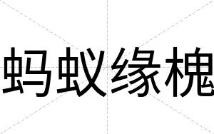 蚂蚁缘槐