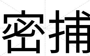 密捕