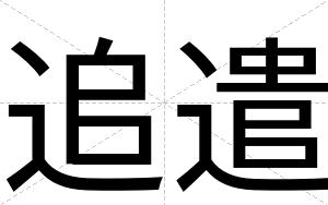 追遣