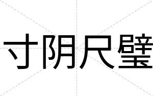 寸阴尺璧