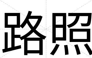 路照