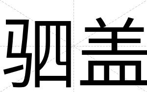 驷盖