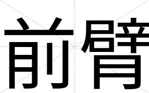 前臂