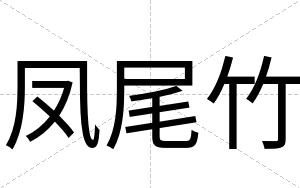 凤尾竹