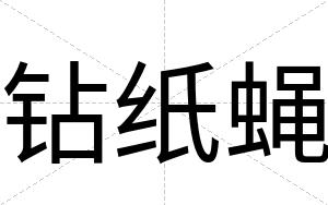 钻纸蝇