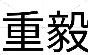 重毅
