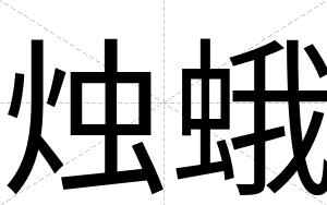 烛蛾