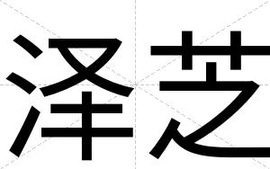 泽芝