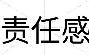 责任感