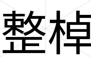 整棹