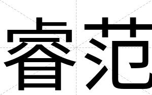 睿范