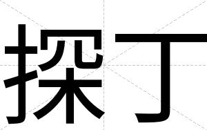 探丁
