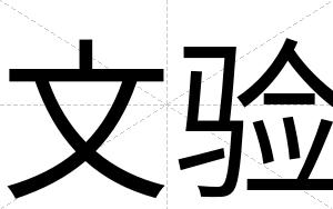 文验