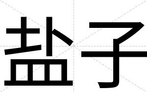 盐子