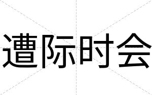 遭际时会