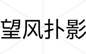 望风扑影