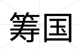 筹国