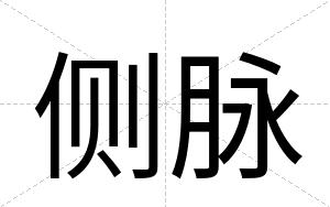 侧脉