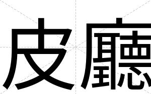皮廳