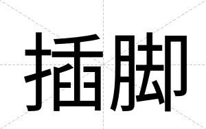 插脚