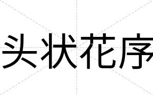 头状花序