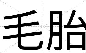 毛胎
