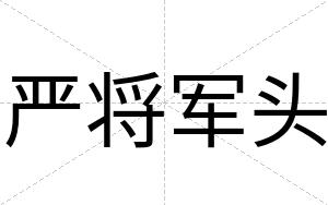 严将军头