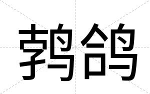 鹁鸽