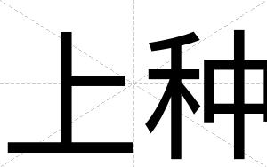 上种