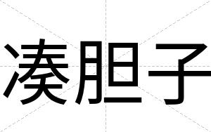 凑胆子