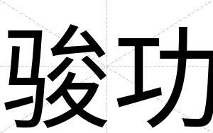 骏功
